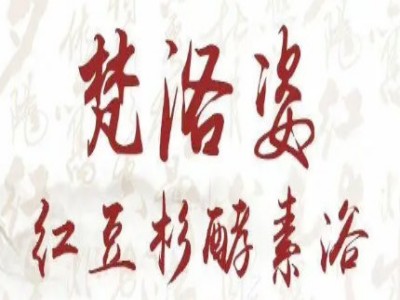 梵洛姿红豆杉酵素浴加盟品牌LOGO