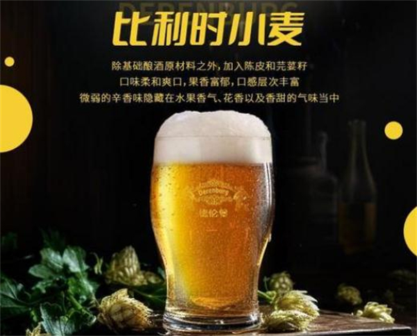 德伦堡啤酒加盟费