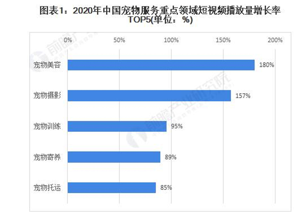 24小时无人洗宠店加盟加盟费用