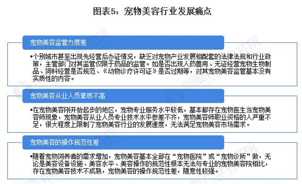 24小时无人洗宠店加盟加盟费用