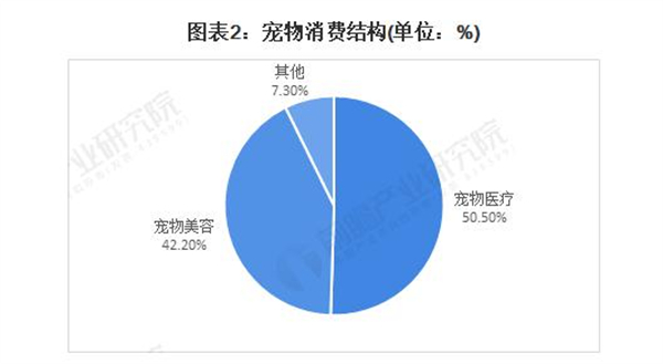 24小时无人洗宠店加盟加盟费用