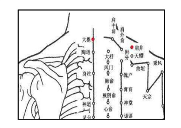 百岁葫芦艾灸加盟加盟费用