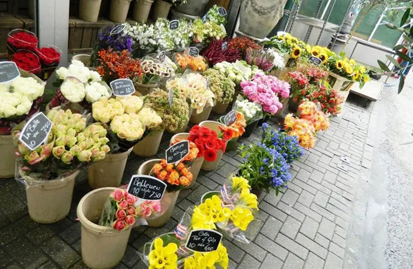 深圳花店加盟费